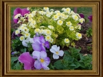 FRAMED FLOWERS