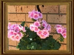 FRAMED FLOWERS