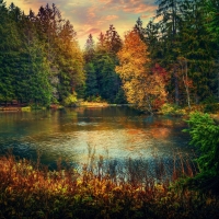 Pond Gruyere, Switzerland