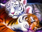 Sleeping tiger cubs
