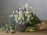 Basket of daisies