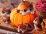 Pumpkittens