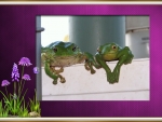 FRAMED FROGS