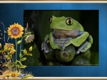 FRAMED FROG