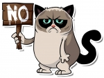 Grumpy Cat