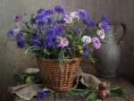 Bouquet of cornflowers