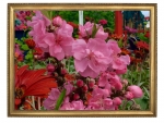 FRAMED FLOWERS