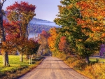 Country road in the fall