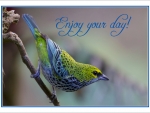 ENJOY YOUR DAY