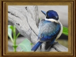 FRAMED BIRD