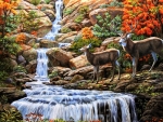 Deers near the waterfall