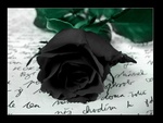 Gothic rose