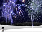 Winter Fireworks
