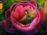 Rose Fairy