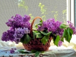 Basket of flowers
