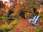 benches in the park
