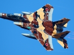 McDonnell Douglas F-15 Eagle (Japanese Air Force)