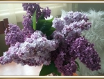 VASE OF LILACS