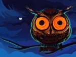 Big Eyed Owl