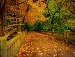 leaves on bridge