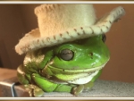 FROG IN A HAT