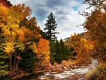 Autumn at the river