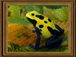 FRAMED FROG