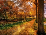 autumn avenue