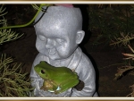 FROG ON BUDDA