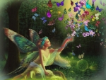 Fairy of the Butterflies