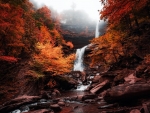 Autumn mist at Kaaterskills Falls, New York