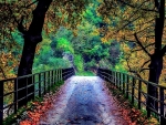 autumn bridge