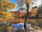 autumn reflections in the lake