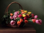 Bouquet of Tulips