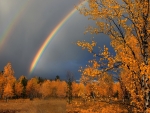autumn rainbow