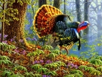 Male Turkey Painting