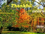 Be Thankful in All