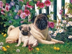 PUG FAMILY