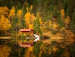 Amazing autumn reflections