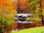 Autumn scenery with Lake in colourful forest