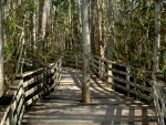 Corkscrew Swamp Sanctuary