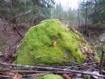 Moss Stone