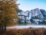 Down in the valley with Yosemite Falls, Yosemite, California