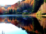 Autumn Lake Landscape
