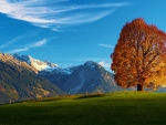 Autumn at the Bavarian Alps