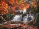 Autumn Waterfall