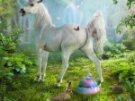 Unicorn's surprise