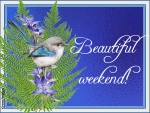 BEAUTIFUL WEEKEND