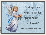 HEALING PRAYERS FOR ELAINE...''COLLIESMILE''