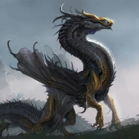 Magic Dragon Nimrodosrus The Grey Miyey